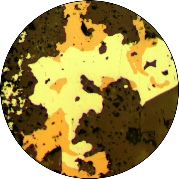 polished thin sections